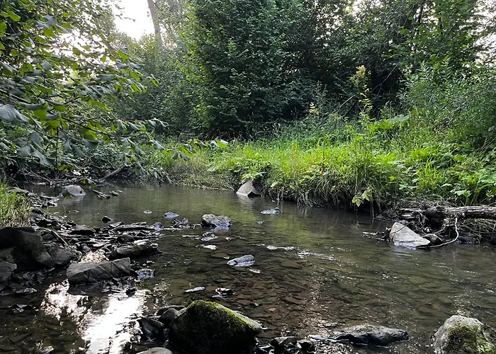 Osrodek Volfcamp Kwaszenina