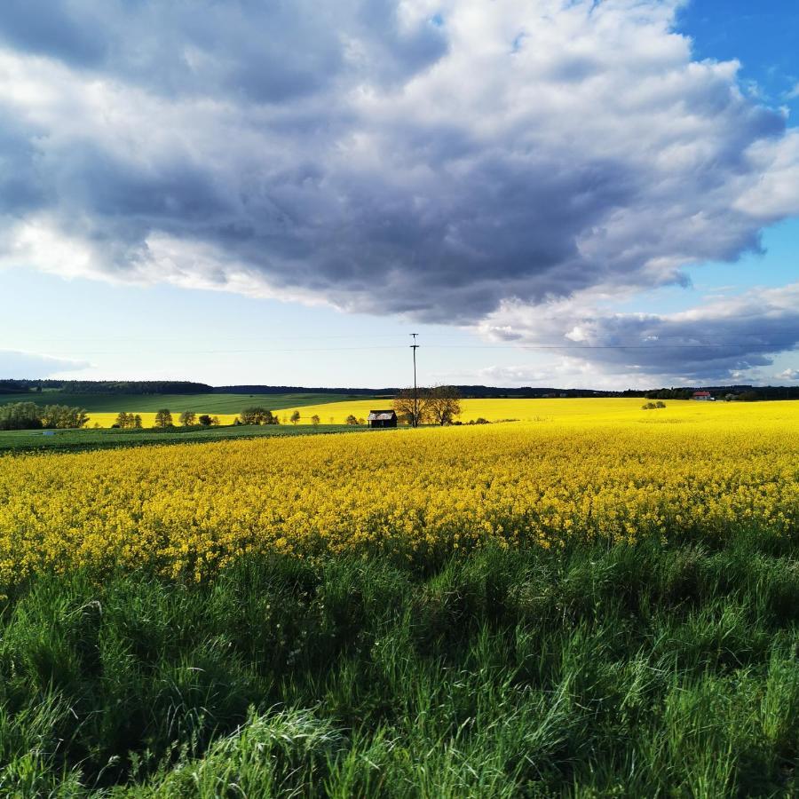 Osrodek Volfcamp Kwaszenina * Arłamów
