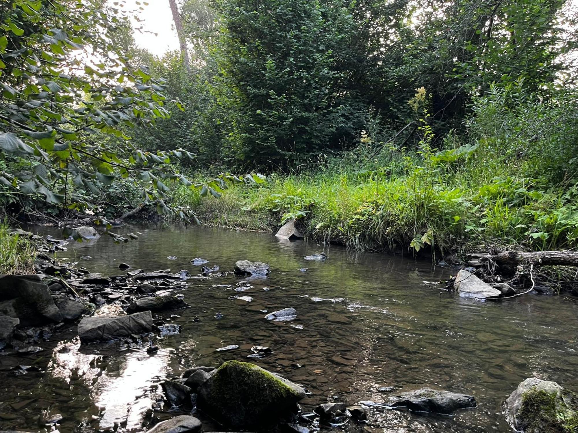 Osrodek Volfcamp Kwaszenina
