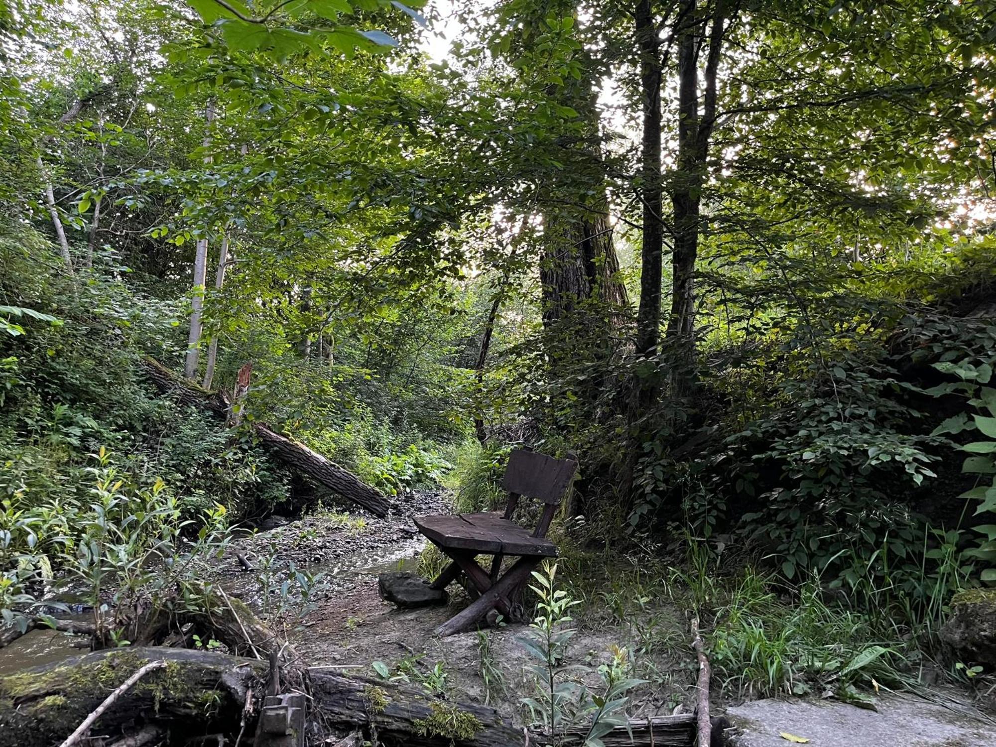 Osrodek Volfcamp Kwaszenina * Arłamów